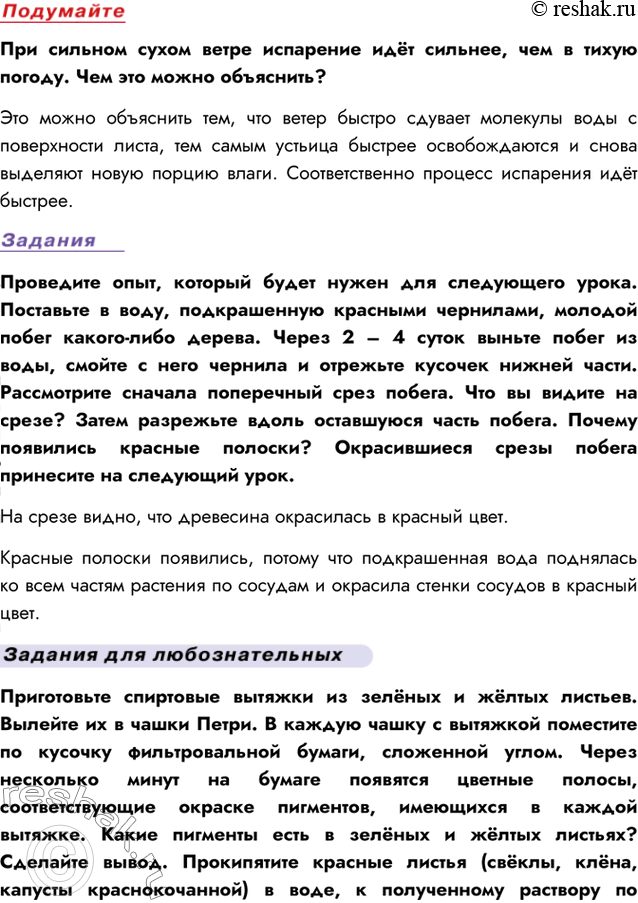 Дополнительное изображение