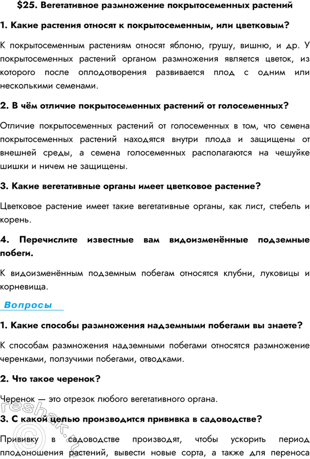 Изображение $25. Вегетативное размножение покрытосеменных растений1. Какие растения относят к покрытосеменным, или цветковым?К покрытосеменным растениям относят яблоню, грушу,...