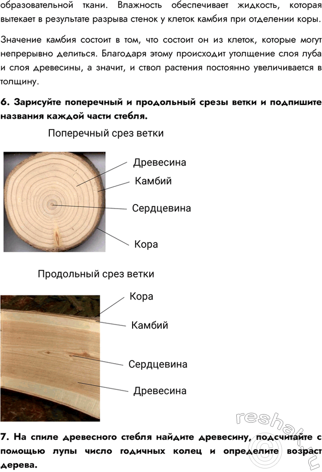 Дополнительное изображение