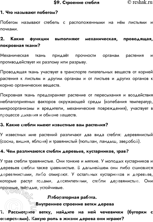 Изображение $9. Строение стебля1. Что называют побегом?Побегом называют стебель с расположенными на нём листьями и почками.2. Какие функции выполняют механическая, проводящая,...