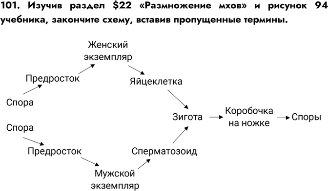 Изображение 101. Изучив раздел $22 «Размножение мхов» и рисунок 94 учебника, закончите схему, вставив пропущенные...